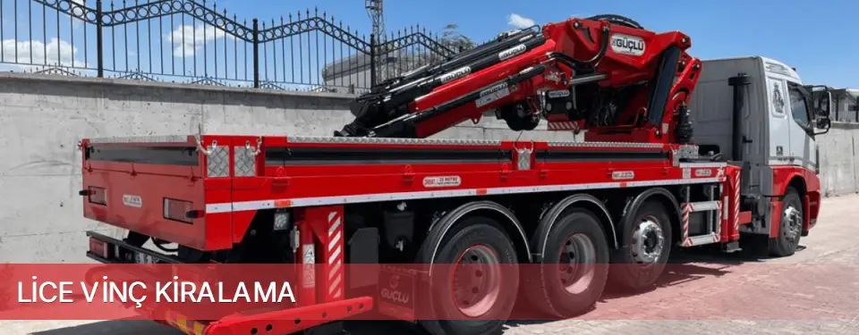 Lice İlçemi Vinç Kiralama